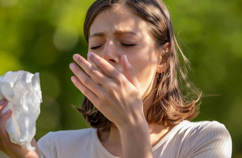  Spring Allergies