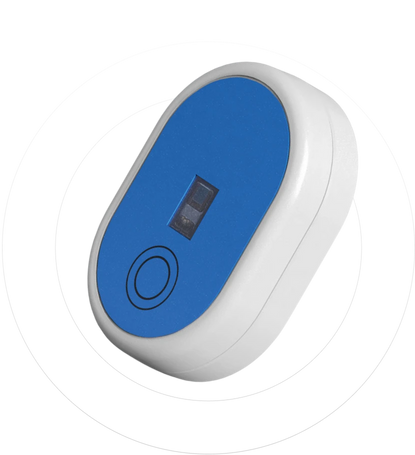 Discover What Happens While You Sleep