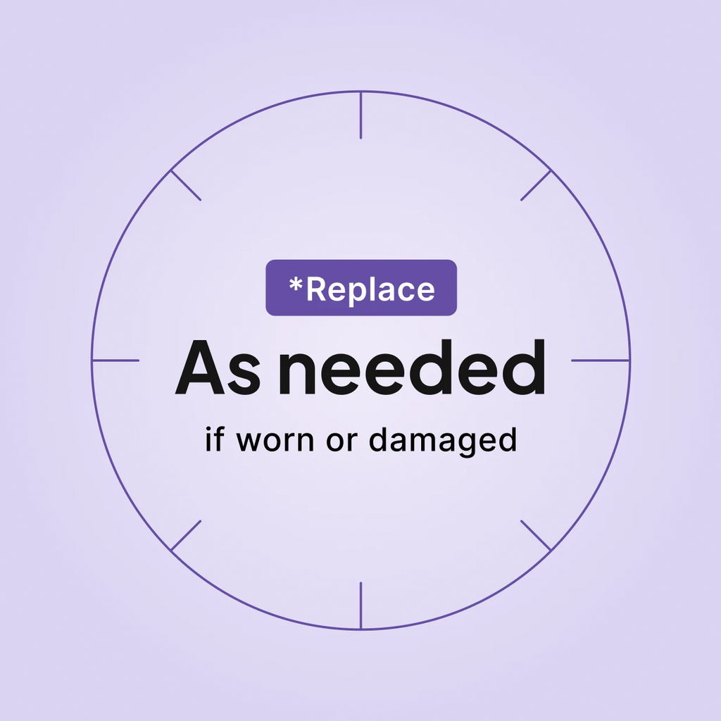 Fisher and Paykel SleepStyle Carry Case replacement schedule: replace as needed, if worn or damaged.