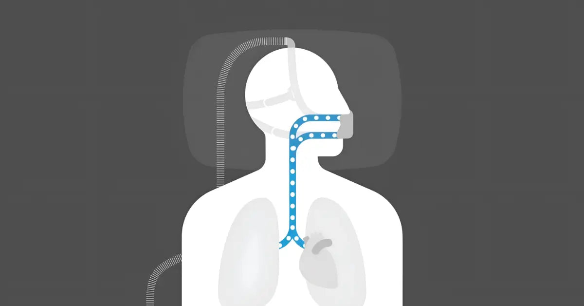 Humidification with AirCurve 11