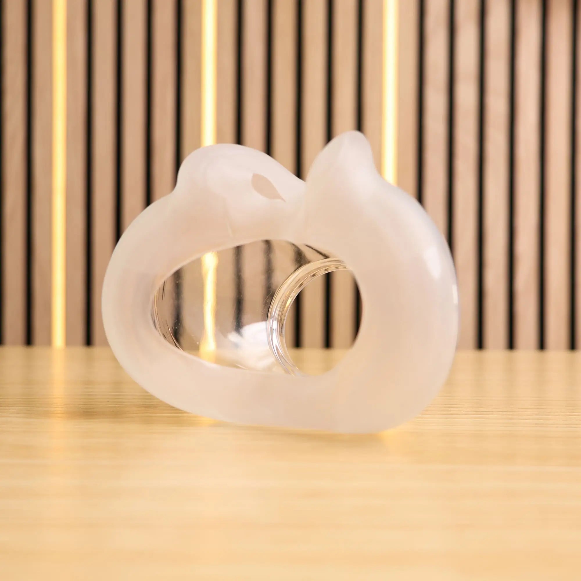 AirFit F30 Full Face Mack Cushion Replacement