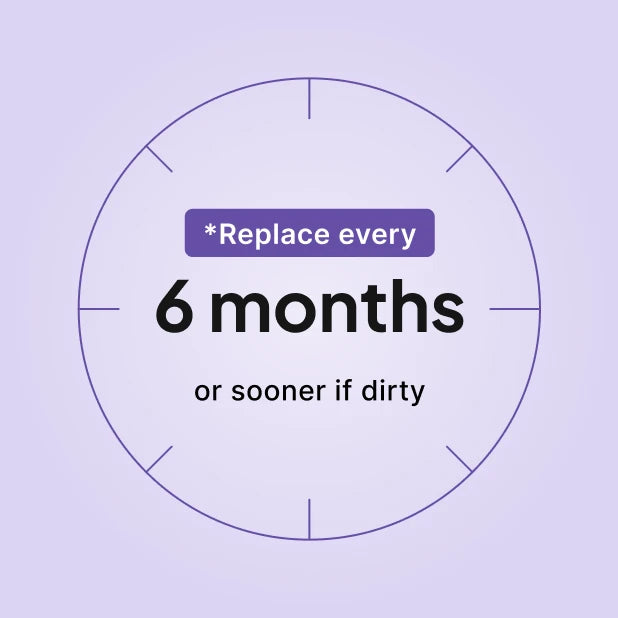ResMed AirSense 11 and AirCurve 11 standard filter replacement guide: replace every 6 months.