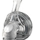 Front view of clear Zest Q Premium Nasal CPAP Mask by Fisher & Paykel.