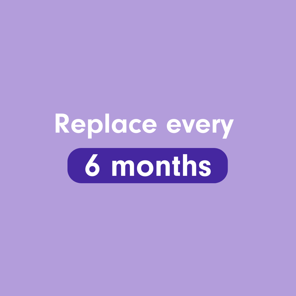 Replace every 6 months.